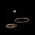 Подвесной светодиодный светильник Loft IT Ring 10017/3S - Подвесной светодиодный светильник Loft IT Ring 10017/3S