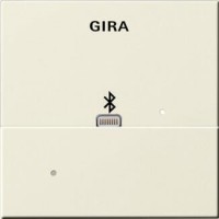 Лицевая панель Apple Lightning Gira System 55 для вставки док-станции кремовый глянцевый 228701