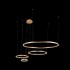 Подвесной светодиодный светильник Loft IT Ring 10017/4L - 10017_4l_3