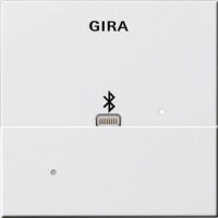 Лицевая панель Apple Lightning Gira System 55 для вставки док-станции чисто-белый глянцевый 228703