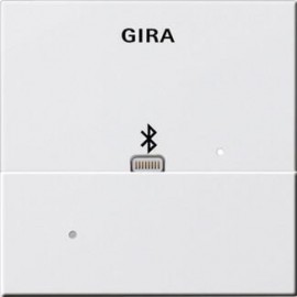 Лицевая панель Apple Lightning Gira System 55 для вставки док-станции чисто-белый глянцевый 228703 - Лицевая панель Apple Lightning Gira System 55 для вставки док-станции чисто-белый глянцевый 228703