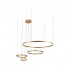 Подвесной светодиодный светильник Loft IT Ring 10017/4S - Подвесной светодиодный светильник Loft IT Ring 10017/4S