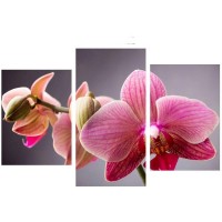 Модульная картина TL-TM1008 Toplight
