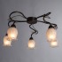 Потолочная люстра Arte Lamp 83 A7449PL-5BR - a7449pl_5br_1