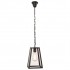 Подвесной светильник Loft IT Loft1127 - Подвесной светильник Loft IT Loft1127