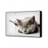Часы-картина TL-C5022 Toplight - Настенные часы Серая кошка Timebox Toplight 37х60х4см TL-C5022