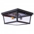 Потолочный светильник Loft IT Loft3110-2C - Потолочный светильник Loft IT Loft3110-2C