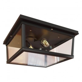 Потолочный светильник Loft IT Loft3110-2C - Потолочный светильник Loft IT Loft3110-2C