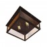 Потолочный светильник Loft IT Loft3110-2C - loft3110_2c_1