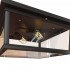 Потолочный светильник Loft IT Loft3110-2C - loft3110_2c_2