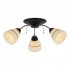 Люстра потолочная Winnifred TL1255D-03BC Toplight - Потолочная люстра Toplight Winnifred TL1255D-03BC