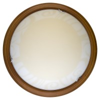 Светильник настенно-потолочный Ginger TL9620Y-00OA Toplight