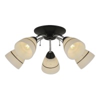 Люстра потолочная Winnifred TL1255D-05BC Toplight