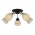 Люстра потолочная Winnifred TL1255D-05BC Toplight - Потолочная люстра Toplight Winnifred TL1255D-05BC