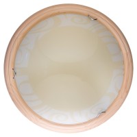 Светильник настенно-потолочный Ginger TL9620Y-00PN Toplight