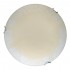 Светильник настенно-потолочный Ginger TL9620Y-00WH Toplight - Настенно-потолочный светодиодный светильник Toplight Ginger TL9620Y-00WH