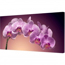 Холст TL-H0003 Toplight - Холст Toplight 50х100х3см TL-H0003