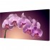 Холст TL-H0003 Toplight - Холст Toplight 50х100х3см TL-H0003