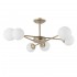 Потолочная люстра Arte Lamp Marco A2703PL-6SG - Потолочная люстра Arte Lamp Marco A2703PL-6SG