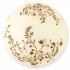 Светильник настенно-потолочный Aldor TL9191Y-01WH Toplight - Настенный светильник Toplight Aldor TL9191Y-01WH