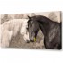 Холст TL-H0018 Toplight - Холст Toplight 50х100х3см TL-H0018