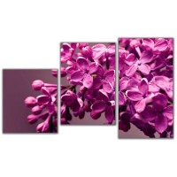 Мини-модульная картина TL-MM1006 Toplight