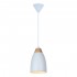 Светильник подвесной Leah TL0724H-2W Toplight - Подвесной светильник Toplight Leah TL0724H-2W