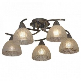 Потолочная люстра Lussole Zungoli LSF-1603-05 - Потолочная люстра Lussole Zungoli LSF-1603-05