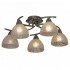 Потолочная люстра Lussole Zungoli LSF-1603-05 - Потолочная люстра Lussole Zungoli LSF-1603-05