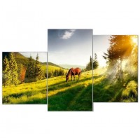 Мини-модульная картина TL-MM1011 Toplight