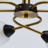 Потолочная люстра MW-Light Олимпия 638018406 - Потолочная люстра MW-Light Олимпия 638018406